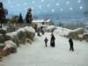 _0720test0015_small.jpg
