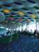 _0720test0039_small.jpg