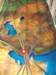 _0720test0065_small.jpg
