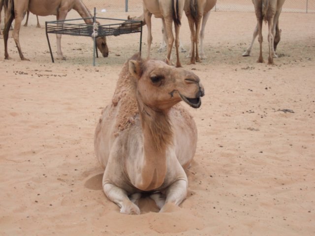 _0720test0104.jpg