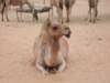 _0720test0104_small.jpg