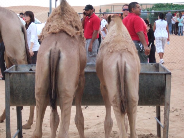 _0720test0112.jpg
