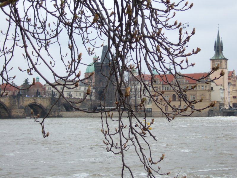 _0412test0092.jpg