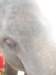 _0720test0189_small.jpg